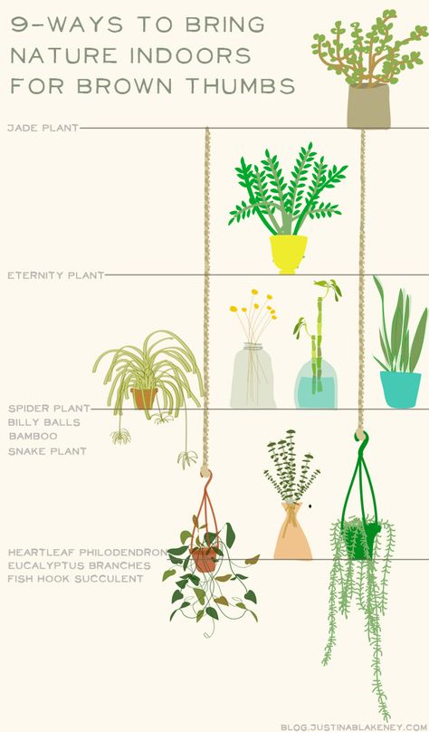 Types Of Houseplants, Apartment Stuff, Jade Plant, Bring Nature Indoors, Education Policy, Indoor Gardens, People Happy, Jade Plants, Vivarium