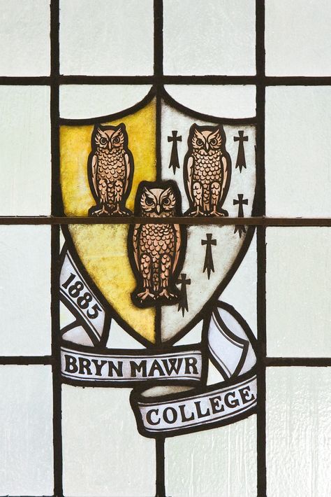 Stained glass from the reading room at Bryn Mawr Aesthetic Stained Glass Window, Bryn Mawr College Aesthetic, Library With Stained Glass Windows, Stained Glass Dark Academia, Bryn Mawr College Dorms, Ivy College, Bryn Mawr College, Historic Stained Glass Window, College Vibes