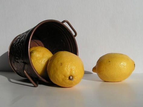 Lemon Still Life Photography, Still Life Reference, Lemon Still Life, Plant Still Life, Still Life Pictures, Learn To Sketch, Still Life 2, Life Drawing Reference, Reference Photos For Artists