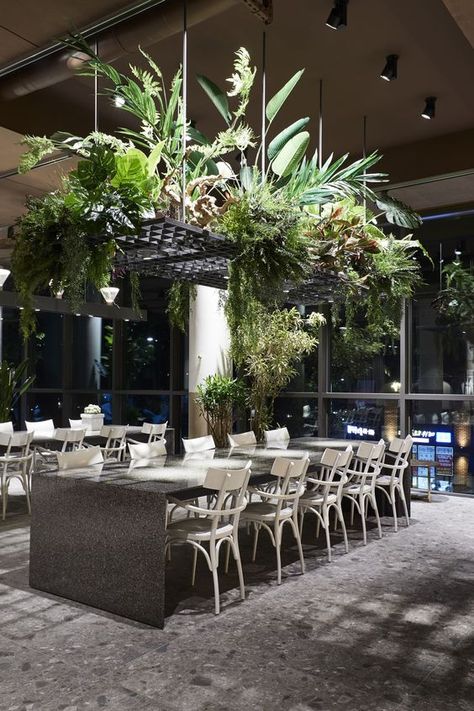 Botanical Interior, Plants Hanging, Garden Cafe, Indoor Dining, Bar Interior, Coffee Shop Design, Bar Design Restaurant, Cafe Interior Design, Green Interiors