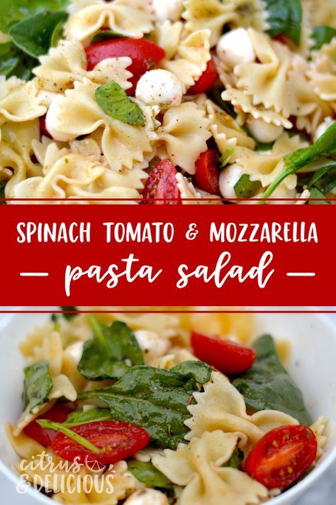 Say hello to a fresh spinach, tomato and mozzarella pasta salad, a wonderfully flavorful hybrid between a classic spinach salad and a lightly dressed summertime pasta salad. #pastasalad #appetizer #spinach #mozzarella #tomatoes Pasta Salad Spinach, Fresh Mozzarella Pasta, Supper Salads, Mozzarella Pasta Salad, Summertime Pasta, Spinach Mozzarella, Pasta Salad With Spinach, Salad Spinach, Tomato Pasta Salad