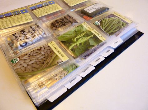 Seed Binders - an easy, inexpensive way to organize and store seeds using 3 ring binders, baseball card sheet protectors, and small zip lock bags. Seed Organization, Dishes Design, Seed Storage, Garden Organization, Sheet Protectors, Ring Binders, Seed Saving, Organization And Storage, Garden Journal