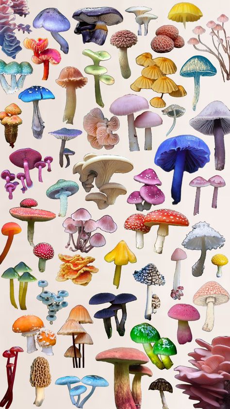 #mushrooms #mushroom #mushy #fungi #fungus #shrooms #popular #background #wallpaper Shrooms Aesthetic, Nail Doodles, Forest Moodboard, Funky Mushrooms, Shuffles Collage, Mushroom Ideas, Mushroom Background, Fantastic Fungi, Fungi Art