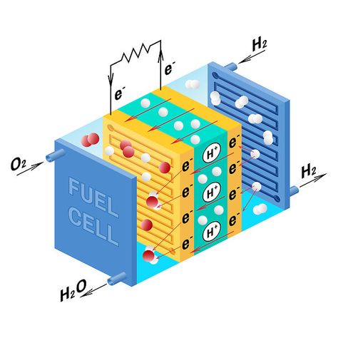 Hydrogen Powered Cars, Galvanic Cell, Hydrogen Energy, Cell Project, Cell Diagram, Cell Parts, Cells Project, Chemical Energy, Hydrogen Gas