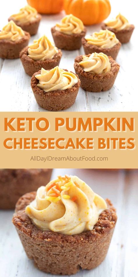 Pumpkin Cheesecake Bites, Keto Pumpkin Cheesecake, Low Carb Pumpkin Recipes, No Bake Pumpkin, Keto Holiday, Postre Keto, Keto Pumpkin, Dessert Easy, Keto Cake