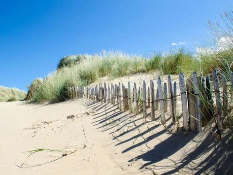 Beach Fence on the dunes Beach Fence, Palisade Fence, Rustic Garden Fence, Post And Rail Fence, Metal Fence Posts, Building A Fence, Rail Fence, Beach Images, Sand Sea