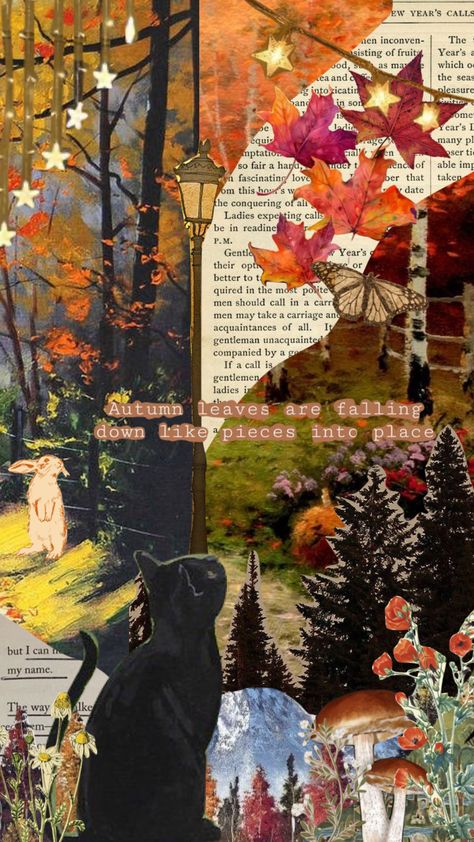 i’m so excited for fall u guyssss #taylorswift #vintage #collage #aesthetic #autumn #cat #fall #moodboard Autumn Aesthetic Collage, November Collage, Collage Autumn, Vintage Collage Aesthetic, Autumn Collage, Fall Moodboard, Fall Collage, Autumn Cat, Excited For Fall