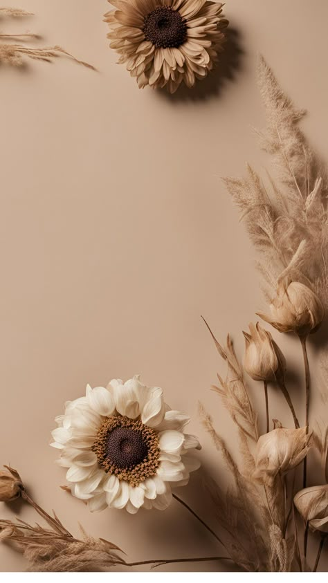 Neutral Boho Wallpaper Iphone, Beige Aesthetic Flowers, Neutral Wallpaper Iphone Aesthetic, Dried Flower Wallpaper, Neutral Wallpaper Aesthetic, Beige Wallpaper Iphone, Neutral Wallpaper Iphone, Cozy Aesthetic Wallpaper, Dried Flowers Aesthetic