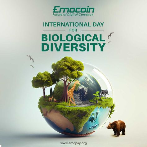 Preserving the Gems of Nature: International Day for Biological Diversity 💎🌳 #InternationalDayForBiologicalDiversity #BiodiversityProtection #Emocoin #Emopay #CryptocurrencyNews #cryptocurrency #monday #investment #CryptoUpdate #Crypto International Biodiversity Day, Aluminium Furniture, Aluminium Chair, Chair Restaurant, Biological Diversity, Snapchat Streaks, Mix Concrete, Digital Imaging, Aluminum Chairs