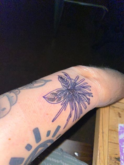 #wallows #tattoo Wallows Band Tattoo, Band Tattoo, Tat Ideas, Tattoo Inspo, Tatting, Tattoos, Band