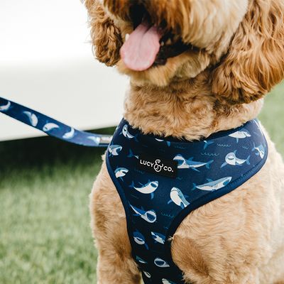 Dog Brand, Dog Things, Dog Harnesses, Dog Branding, Lock It, Dog Pajamas, Dog Vest, Dog Items, Eye Pillows