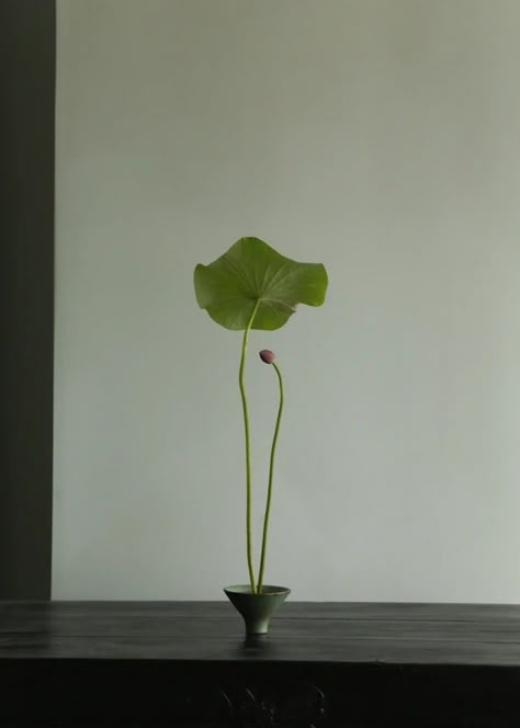 Japanese Plants, Ikebana Vase, Ikebana Flower, Ikebana Arrangements, Ikebana Flower Arrangement, Flower Arrangements Simple, Nothing But Flowers, Interior Plants, Flower Therapy