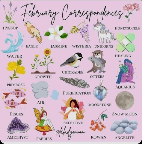 Month Magical Correspondences, February Witchcraft, February Correspondences, February Symbols, Book Printables, Goddess Magick, Moon Phase Calendar, Traditional Witchcraft, Happy February