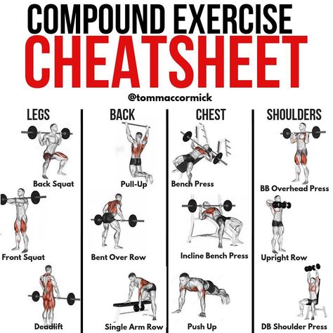 Upper Body Compound Lifts, Chest Compound Exercises, 4 Exercise Workout, Back Compound Exercises, Compound Muscle Workouts, Compound Weight Training, Mens Muscle Building Workouts, Compound Gym Exercises, Muscle Resistance Training