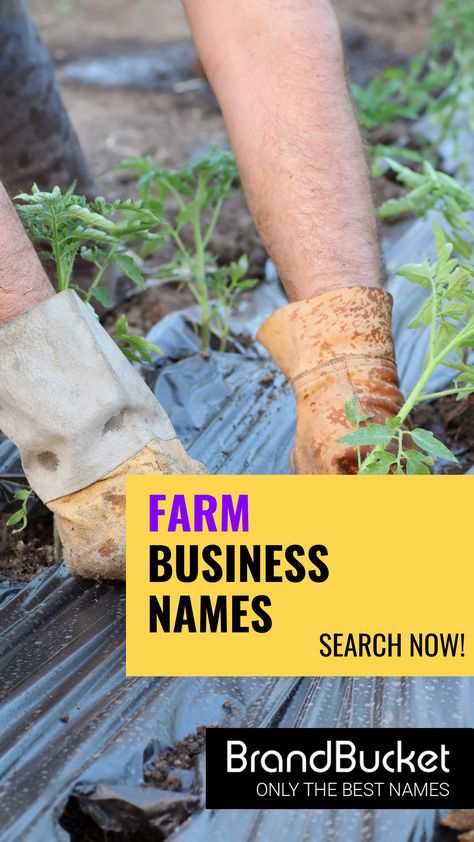 Are you looking for a name for your farming business? We have thousands! Choose a premium brandable name here! farm business ideas, farm business plan, farm business name ideas, farm business names, farming ideas agriculture, farm animal business, farm business, business naming, business name generator, business name ideas unique, cool name ideas Farm Names Unique, Farming Ideas Agriculture, Business Name Ideas Unique, Name Ideas Unique, Farm Business Plan, Farming Ideas, Business Name Generator, Cool Name, Business Name Ideas