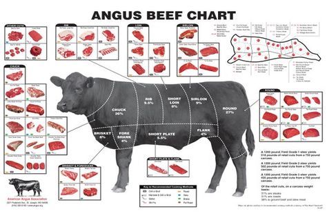 This Digital Prints item by ShopIconicArts has 219 favorites from Etsy shoppers. Ships from United States. Listed on 11 Aug, 2022 Beef Poster, Division Chart, Cow Meat, Angus Cow, Modern Cooking, Cuts Of Beef, Art For Kitchen, Food Wall Art, Kitchen Artwork