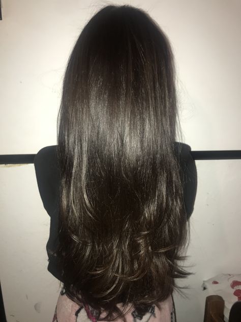 Layer Dark Brown Hair, Long Layer Dark Brown Hair, Dark Layers Hair, Black Hair Esthetics, Long Black Brown Hair, Long Haircuts Dark Hair, Dark Brown Hair Vs Black Hair, Haircuts Long Hair Layered, Dark Brown Layered Hair Medium