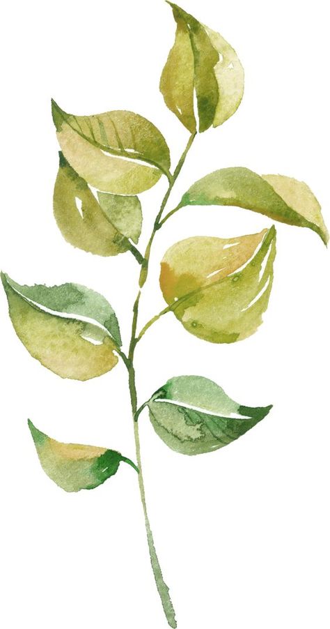 Watercolour Leaf, Watercolour Leaves, Bodhi Leaf, Flower Png Images, Intuitive Artists, Watercolor Paintings Nature, Boho Painting, Ajrakh Prints, Leaf Painting