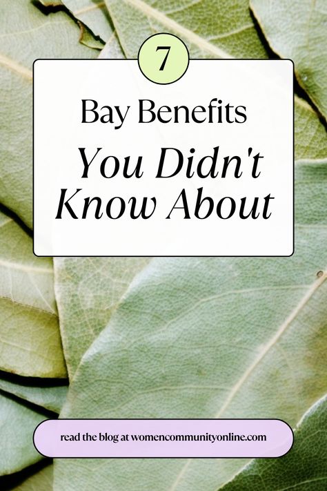 bay leaf hair benefits, bay leaf in wallet benefits, bay leaf oil benefits for hair, bay leaf skin benefits, bay leaf tea benefits for hair, bay leaves benefits burning, the bay employee benefits Bay Leaf Tea Benefits, Bay Leaves Uses, Bay Leaf Benefits, Bay Leaf Tea, Bay Leaf Tree, Burn Bay Leaves, Burning Bay Leaves, Leaf Health, Women Community