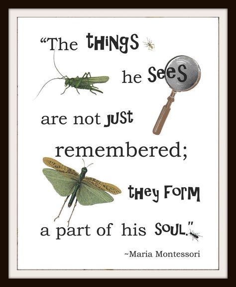 Nature Themed Room, Forest Display, Maria Montessori Quotes, Nature Classroom, Early Childhood Education Quotes, Forest Kindergarten, Montessori Quotes, Play Quotes, Kids Quotes