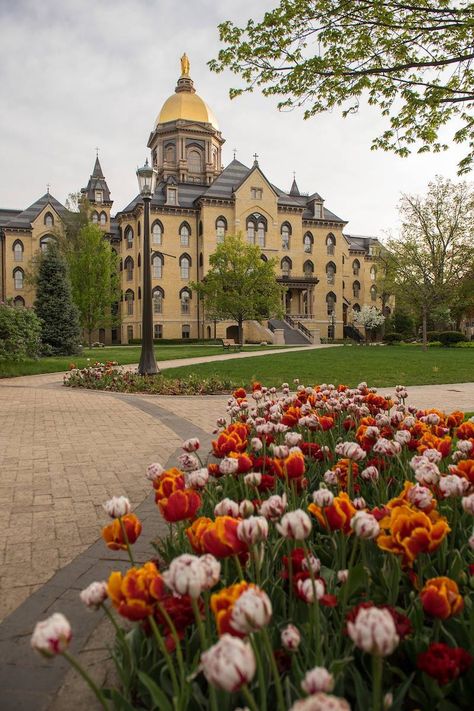 University Of Notre Dame Aesthetic, College Mindset, Notre Dame Campus, Notre Dame Indiana, Noter Dame, Notre Dame College, Go Irish, Under The Dome, Bleed Blue