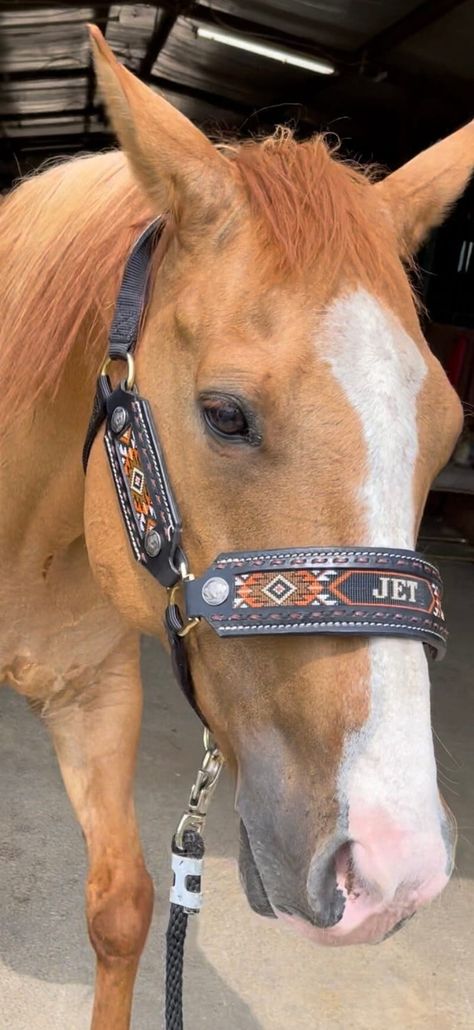 Hand made custom Horse halter with hand beaded inlay. Genuine top grade leather set in a Weaver halter. Customize with your favorite colors..your choice of halter color as well. Custom Halters Horses, Cute Horse Tack, Halters For Horses, Western Horse Tack Turquoise, Horse Tack Western, Leather Horse Halter, Horse Halloween Costumes, Show Jumping Horses, Dream Horse Barns