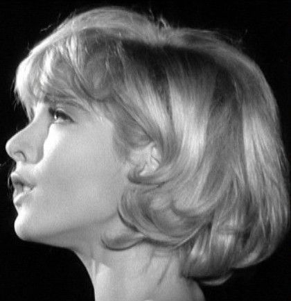 Sylvie Vartan, European Women, Baby Boomer, Hair Reference, Cut My Hair, روتين العناية بالبشرة, Dream Hair, Vintage Hairstyles, Cut And Color