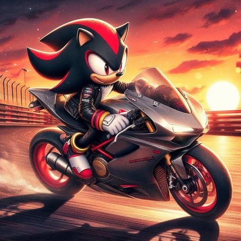 Shadow The Hedgehog Motorcycle, Hedgehog Videos, Dark Sonic, Team Dark, Sonic Sonic, Sonic The Movie, Goku Wallpaper, Sonic Birthday, Sonic Heroes