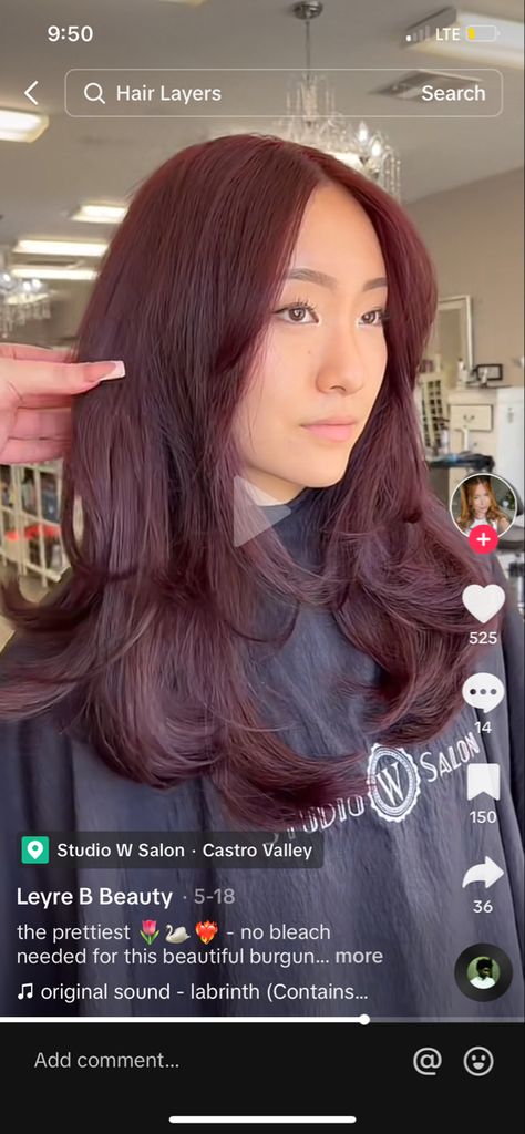 Red Purple Brown Hair, Plum Hair On Tan Skin, Burgundy Hair Fair Skin, Medium Plum Brown Hair, Dark Red Asian Hair, Cool Toned Plum Hair, Purple Tinted Hair, Reddish Purple Hair, Light Burgundy Hair