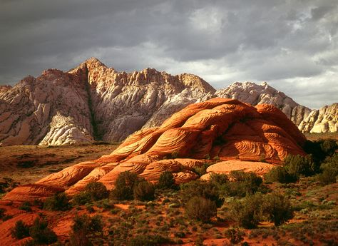 Snow Canyon State Park    Charles Wood Kayenta Utah, Sand Hollow, Snow Canyon State Park, Utah Lakes, Utah Photography, Southern Utah, Camping Area, Zion National Park, St George