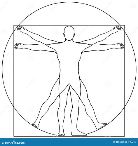 Vector Illustration Based on Leonardo da Vinci s Vitruvian Man. Concept of Ideal Proportions of the Human Body. Outline Style Human Body Outline, Da Vinci Inventions, Body Outline, Vitruvian Man, Man Vector, Anatomy For Artists, Golden Ratio, The Human Body, Anatomy