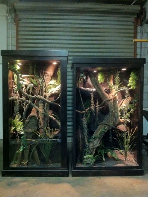 Rango needs this !!! Amazon Tree Boa Enclosure, Insect Vivarium, Snake Exhibit, Diy Vivarium, Snake Tanks, Living Terrarium, Reptile Background, Chameleon Terrarium, Chameleon Enclosure