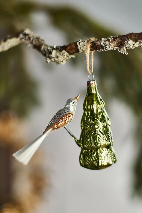 Bird in a Tree Glass Ornament | AnthroLiving German Ornaments, Bird In A Tree, Yule Goat, Anthropologie Holiday, Bird Christmas Ornaments, Bird Christmas, Leaf Ornament, Unique Christmas Ornaments, Globe Ornament