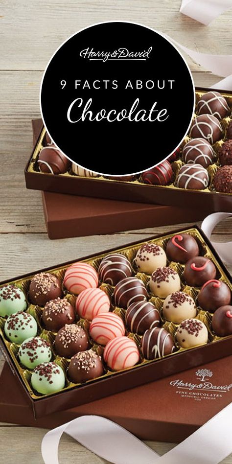 Homemade Chocolate Bonbons, Chocolate Aesthetic, Chocolate Pictures, The Aztecs, Chocolate Hampers, Chocolate Dreams, Creative Food Art, Chocolate Delight, Baking Business