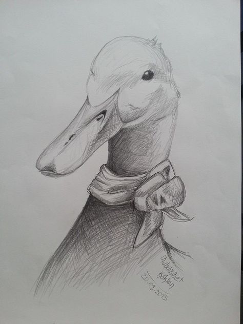 drawing duck Duck Drawing Realistic, Duck Sketch, Biro Drawing, Duck Drawing, Duck Photo, Animal Drawings Sketches, Funny Duck, Astuces Diy, Watercolor Journal