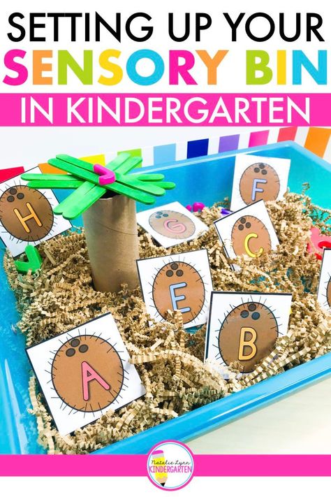 Sensory Bin Fillers, Kindergarten Sensory, Natalie Lynn, Beginning Of Kindergarten, Sensory Tub, Preschool Sensory, Literacy Centers Kindergarten, Sensory Bin Ideas, Chicka Chicka Boom Boom