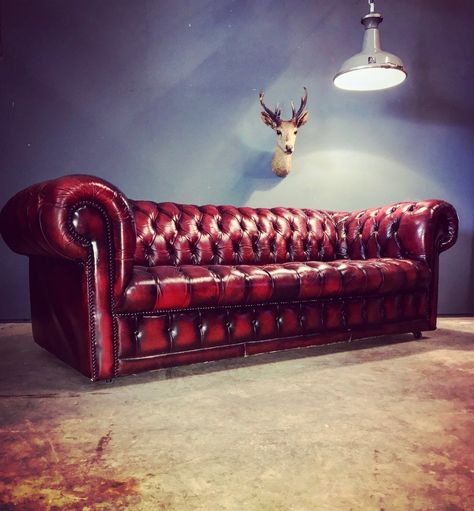 Vintage 3 Seater Button Base Chesterfield Sofa In Ox Blood Room Ideas Aesthetic Black, Ny Apartment Decor, Living Room Aesthetic Apartment, Luxury Dark Aesthetic, Aesthetic Apartment Living Room, Red Chesterfield Sofa, Alluring Aesthetic, Chesterfield Couch, Chesterfield Bank