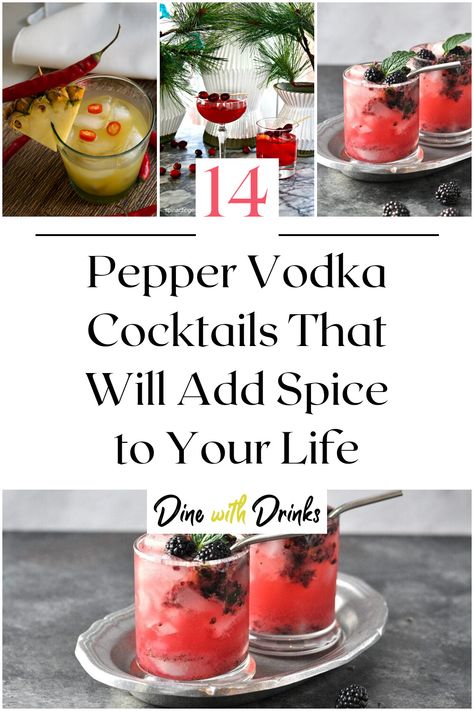 Collage of 4 pepper vodka cocktails. Spicy Vodka Drinks, Pepper Cocktail, Vodka Mixed Drinks, Vodka Cocktails Easy, Vodka Recipes Drinks, Unique Cocktail Recipes, Spicy Drinks, Vodka Cocktail, Vodka Cocktails Recipes