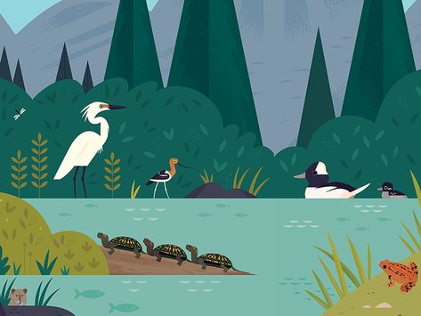 Curiosity Grove Wetlands by Alexander Vidal Zoo Signage, Animal Design Illustration, Natural Science Museum, Park Signage, Infographic Poster, Infographic Illustration, Kids Art Class, Graph Design, River Art