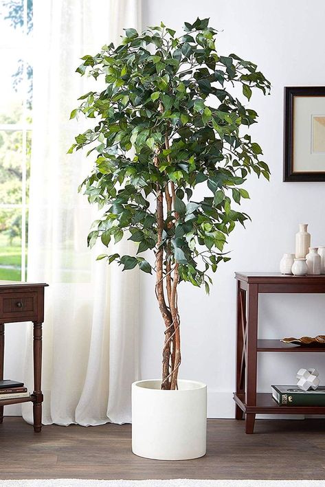 Faux Tree Living Room Corner, Faux Fig Tree Living Room, Update Fake Ficus Tree, Bonzai Tree Ficus, Ficus Tree Indoor, Artificial Indoor Trees, Cool Teen Bedrooms, Small Office Design Interior, Tree Indoor