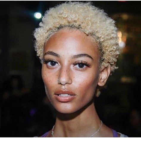 Short Blonde Curly Hair, Blonde Twa, Chocolate Blonde, Short Blonde Pixie, Natural Hair Twa, Short Natural Curly Hair, Blonde Curly Hair, Blonde Roots, Colored Curly Hair