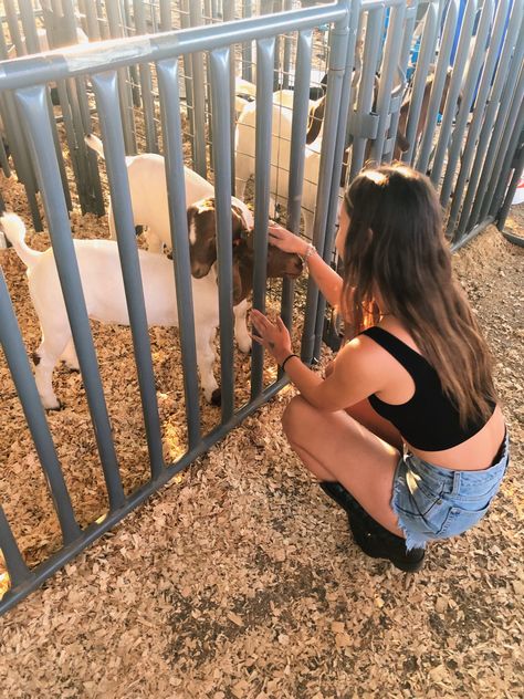 Livestock show goat petting zoo country Petting Zoo Outfit, Petting Zoo Photoshoot, Showing Animals At The Fair, County Fair Pictures, Livestock Show Aesthetic, County Fair Outfit Ideas, County Fair Aesthetic, Petting Zoo Ideas, County Fair Outfit