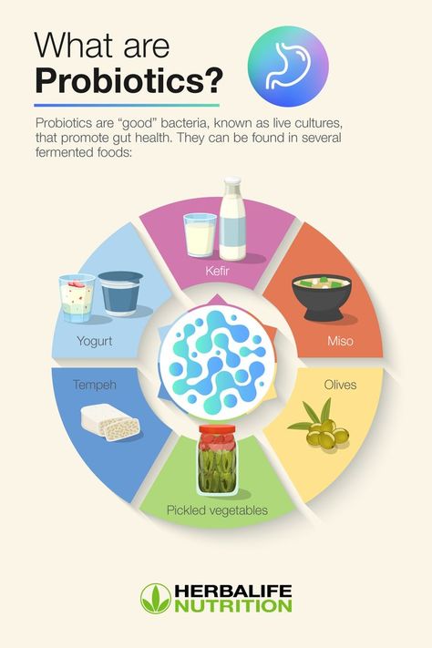 What are probiotics and how are they different from prebiotics? Learn the best food sources and how to take digestive supplements correctly. #HerbalifeNutrition #GutHealth Mint Juice Recipe, Mint Juice, What Are Probiotics, Door Dash, Digestive Supplements, Prebiotics And Probiotics, Probiotic Foods, Probiotics Supplement, Nutrition And Dietetics