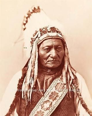 Sioux Chief Sitting Bull Vintage Photo Native American Indian Old West #20812 Lakota Sioux, Sitting Bull, American Indian History, Native American Images, Native American Men, Native American Photos, Standing Rock, Native American Peoples, Indian Chief