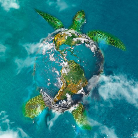 Earth Turtle, Weird History Facts, World Turtle, Turtle Stuff, World Turtle Day, Creation Of The World, Native American Legends, Turtle Island, Surreal Artwork