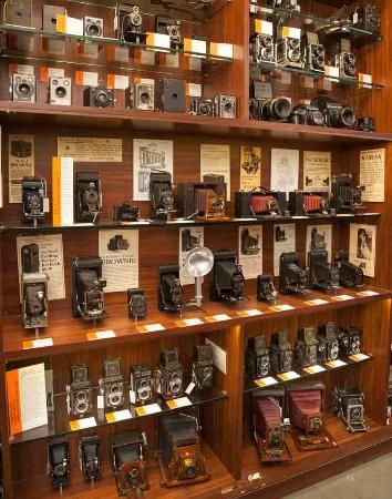 Camera Display Ideas, Old Camera Display, Vintage Camera Collection Display, Display Vintage Cameras, Camera Equipment Storage, Camera Old Vintage, Vintage Camera Collection, Vlog Camera, Camera Prices