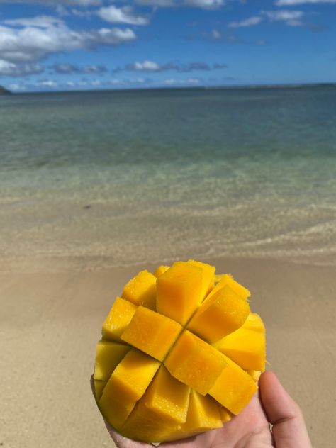 Beach Fruit Aesthetic, Fruit On The Beach, Bahama Bucks, Beach Fruit, Picture References, Fruit Platter Designs, Car Food, Vanilla Coke, Refreshing Food