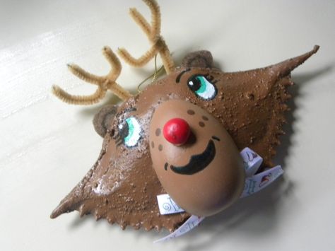 Rudolph The Red Nosed Reindeer Crab Shell by KrustyKrabsandKrafts on Etsy Grinch Crab Shell, Reindeer Palm Frond, Painted Crab Shells, Crab Ideas, Rudolf The Red Nosed Reindeer, Crab Christmas Ornaments, Coastal Christmas Stockings, Santa Seashell Ornaments, Crab Ornament