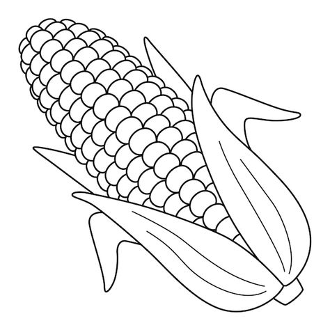 Corn Outline, Fruits Outline, Harvest Coloring Pages, Corn Coloring Page, Corn Drawing, Fruit Drawing, Fruit Coloring Pages, Love Coloring Pages, Thanksgiving Coloring Pages