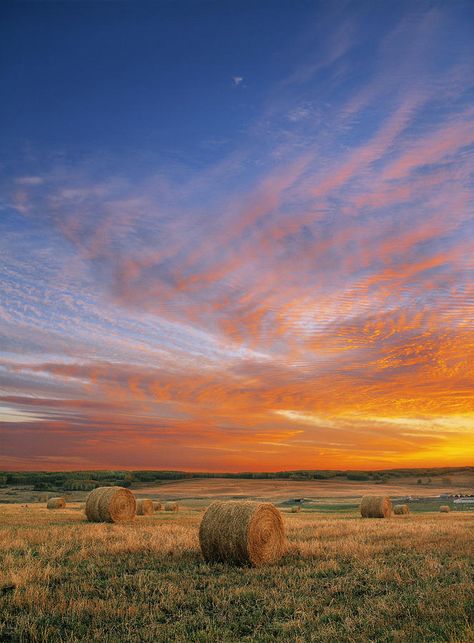 Country Sunset, Country Backgrounds, Hay Bales, Amazing Sunsets, Sunset Photos, Black Friday Deals, Landscape Photos, Farm Life, Low Maintenance